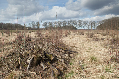 BUITEN BEELD Foto: 126845