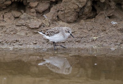 BUITEN BEELD Foto: 126881
