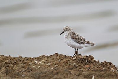 BUITEN BEELD Foto: 126888