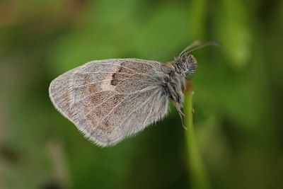 BUITEN BEELD Foto: 126889