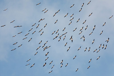 BUITEN BEELD Foto: 126965
