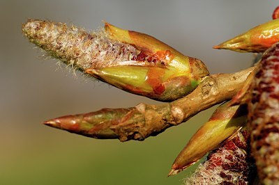 BUITEN BEELD Foto: 126992