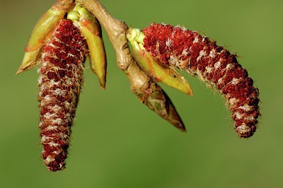 BUITEN BEELD Foto: 126994