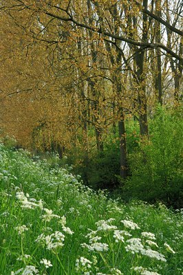 BUITEN BEELD Foto: 127004