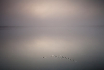 BUITEN BEELD Foto: 127069