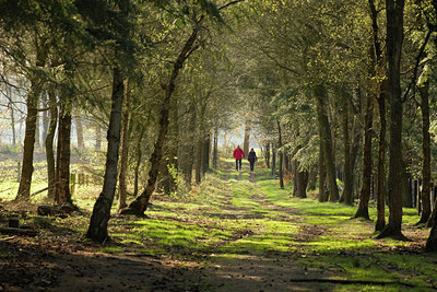 BUITEN BEELD Foto: 127089
