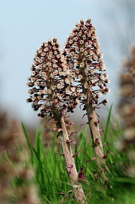 BUITEN BEELD Foto: 127090