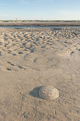 BUITEN BEELD Foto: 127161