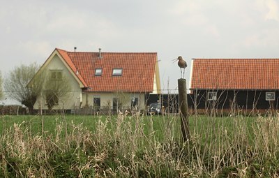 BUITEN BEELD Foto: 127211