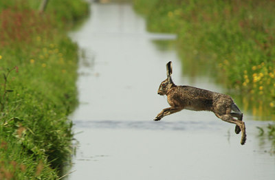 BUITEN BEELD Foto: 127228
