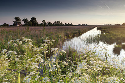 BUITEN BEELD Foto: 127328