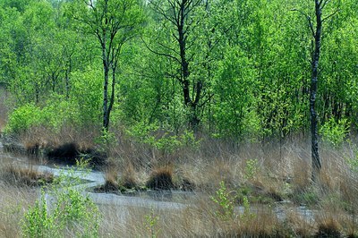 BUITEN BEELD Foto: 127341