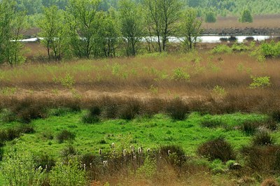 BUITEN BEELD Foto: 127344