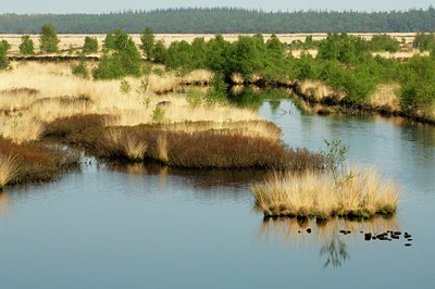 BUITEN BEELD Foto: 127346