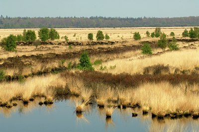 BUITEN BEELD Foto: 127347