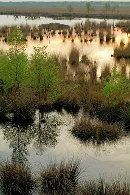 BUITEN BEELD Foto: 127353