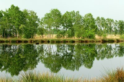 BUITEN BEELD Foto: 127358