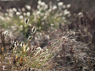 BUITEN BEELD Foto: 127361