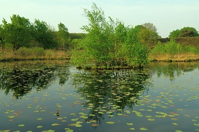 BUITEN BEELD Foto: 127405