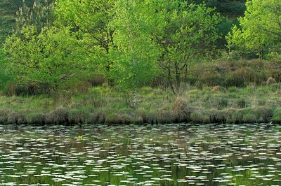 BUITEN BEELD Foto: 127407