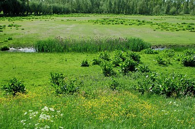 BUITEN BEELD Foto: 127420