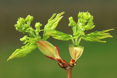 BUITEN BEELD Foto: 127467