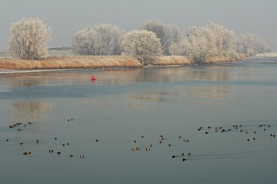 BUITEN BEELD Foto: 127554