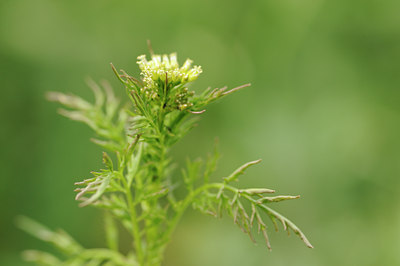 BUITEN BEELD Foto: 127578