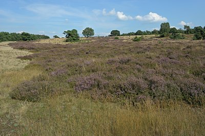 BUITEN BEELD Foto: 127587