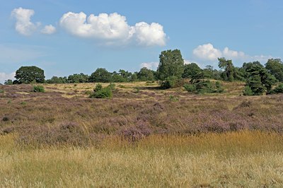 BUITEN BEELD Foto: 127589