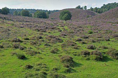BUITEN BEELD Foto: 127598