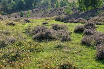 BUITEN BEELD Foto: 127600