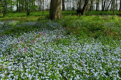 BUITEN BEELD Foto: 127625