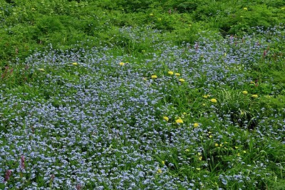 BUITEN BEELD Foto: 127626