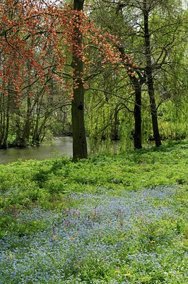 BUITEN BEELD Foto: 127627