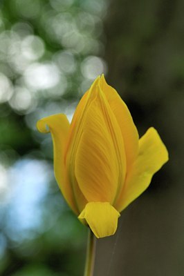 BUITEN BEELD Foto: 127629