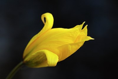 BUITEN BEELD Foto: 127631