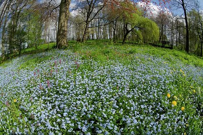 BUITEN BEELD Foto: 127640