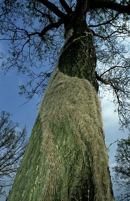 BUITEN BEELD Foto: 127677