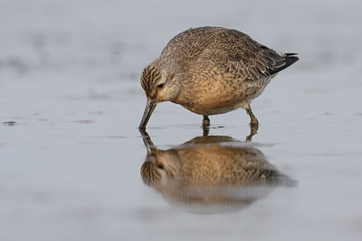 BUITEN BEELD Foto: 127746