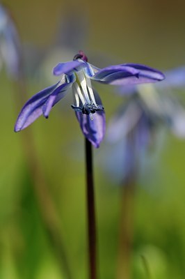 BUITEN BEELD Foto: 127777
