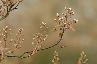 BUITEN BEELD Foto: 127778