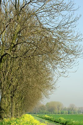 BUITEN BEELD Foto: 127791