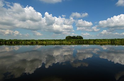 BUITEN BEELD Foto: 127818