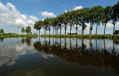 BUITEN BEELD Foto: 127819