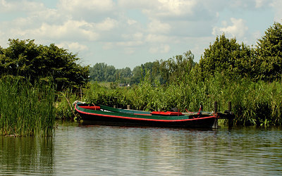 BUITEN BEELD Foto: 127821