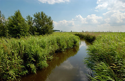 BUITEN BEELD Foto: 127830