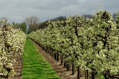 BUITEN BEELD Foto: 127831