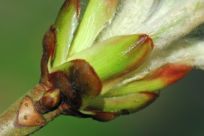 BUITEN BEELD Foto: 127871