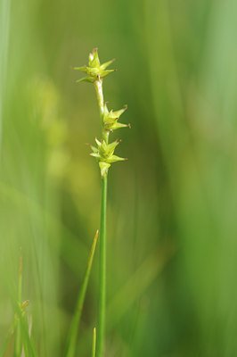 BUITEN BEELD Foto: 127918